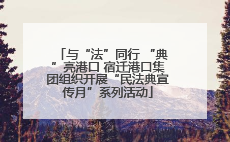 与“法”同行 “典”亮港口 宿迁港口集团组织开展“民法典宣传月”系列活动