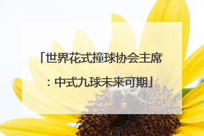 世界花式撞球协会主席：中式九球未来可期