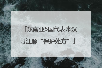 东南亚5国代表来汉寻江豚“保护处方”