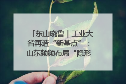 东山晓鲁｜工业大省再造“新基点”：山东频频布局“隐形冠军”背后
