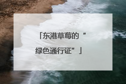 东港草莓的“绿色通行证”