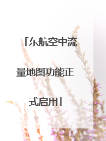 东航空中流量地图功能正式启用