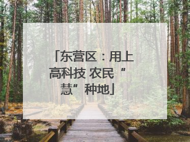 东营区：用上高科技 农民“慧”种地