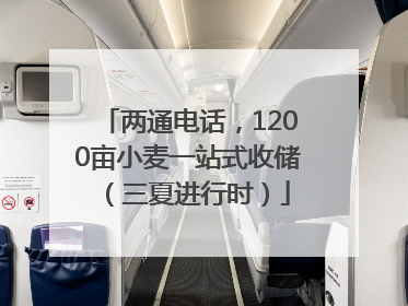 两通电话，1200亩小麦一站式收储（三夏进行时）
