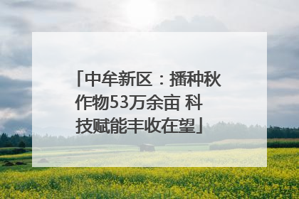 中牟新区：播种秋作物53万余亩 科技赋能丰收在望