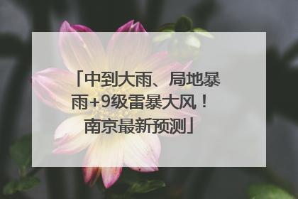 中到大雨、局地暴雨+9级雷暴大风！南京最新预测