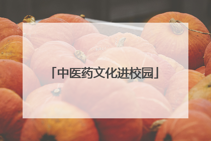 中医药文化进校园
