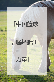 中国篮球，崛起浙江力量