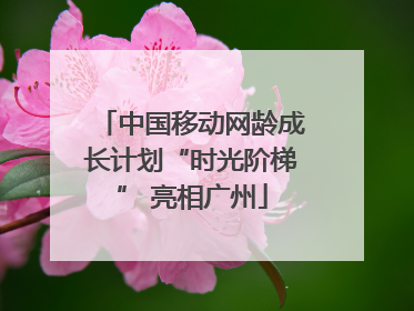 中国移动网龄成长计划“时光阶梯” 亮相广州