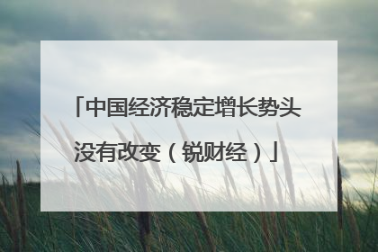中国经济稳定增长势头没有改变（锐财经）