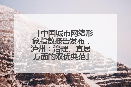 中国城市网络形象指数报告发布，泸州：治理、宜居方面的双优典范