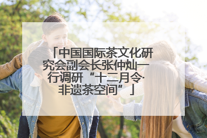 中国国际茶文化研究会副会长张仲灿一行调研“十二月令·非遗茶空间”