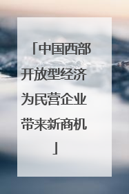 中国西部开放型经济为民营企业带来新商机