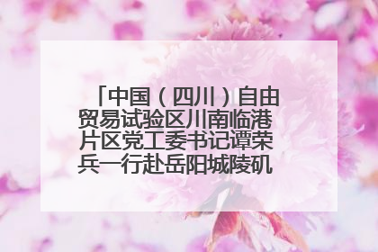 中国（四川）自由贸易试验区川南临港片区党工委书记谭荣兵一行赴岳阳城陵矶综保区考察