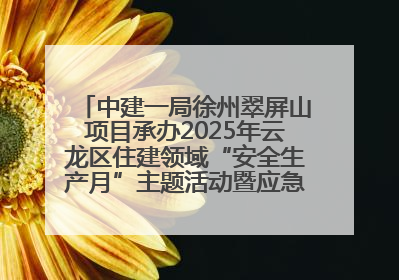 中建一局徐州翠屏山项目承办2025年云龙区住建领域“安全生产月”主题活动暨应急救援演练观摩会