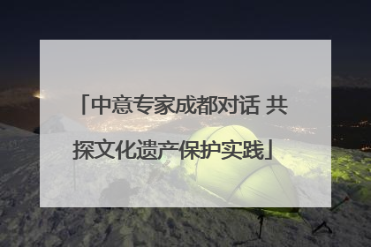 中意专家成都对话 共探文化遗产保护实践