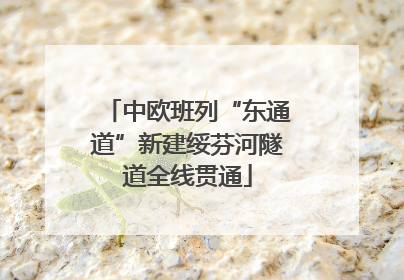 中欧班列“东通道”新建绥芬河隧道全线贯通
