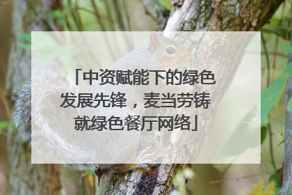 中资赋能下的绿色发展先锋，麦当劳铸就绿色餐厅网络