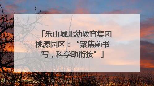 乐山城北幼教育集团桃源园区：“聚焦前书写，科学助衔接”