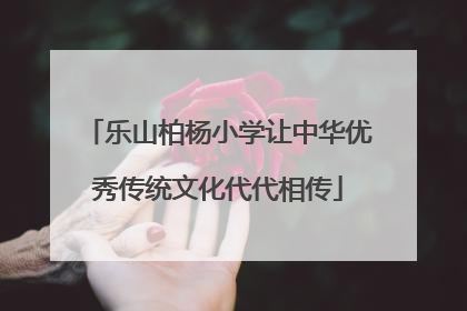 乐山柏杨小学让中华优秀传统文化代代相传