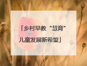 乡村早教“慧育”儿童发展新希望