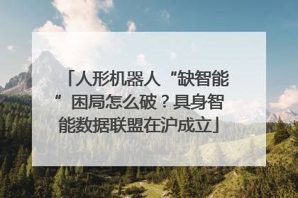 人形机器人“缺智能”困局怎么破？具身智能数据联盟在沪成立