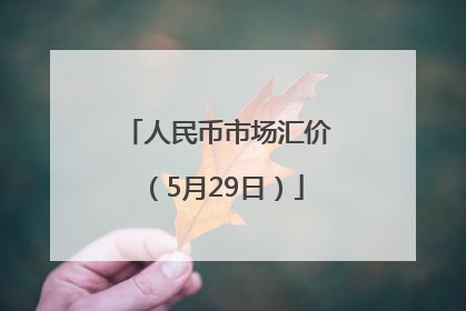 人民币市场汇价（5月29日）