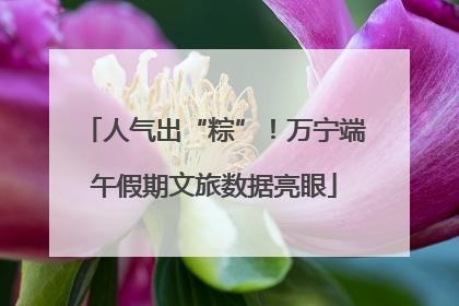 人气出“粽”！万宁端午假期文旅数据亮眼