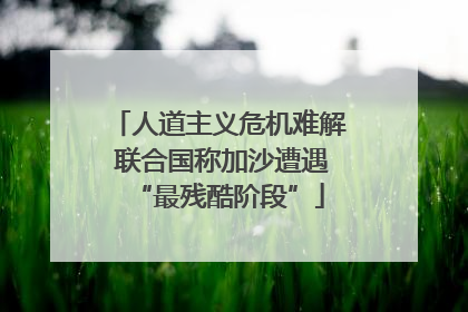 人道主义危机难解 联合国称加沙遭遇“最残酷阶段”