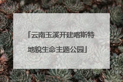 云南玉溪开建喀斯特地貌生命主题公园