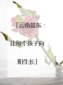 云南景东：让每个孩子向阳生长