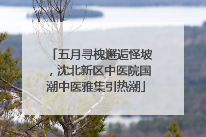 五月寻槐邂逅怪坡，沈北新区中医院国潮中医雅集引热潮