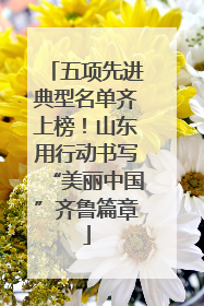 五项先进典型名单齐上榜！山东用行动书写“美丽中国”齐鲁篇章