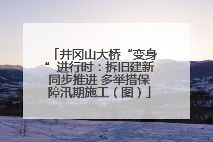 井冈山大桥“变身”进行时：拆旧建新同步推进 多举措保障汛期施工（图）