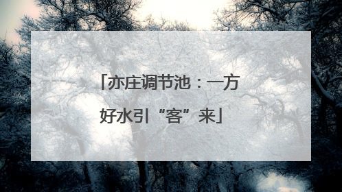 亦庄调节池：一方好水引“客”来