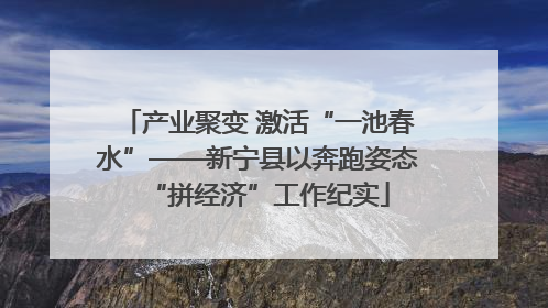 产业聚变 激活“一池春水”——新宁县以奔跑姿态“拼经济”工作纪实