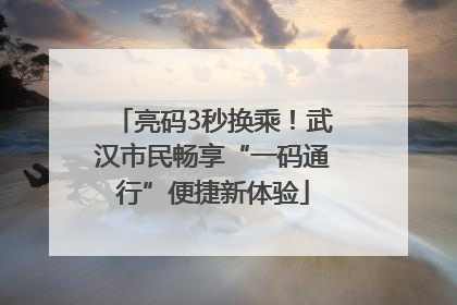 亮码3秒换乘！武汉市民畅享“一码通行”便捷新体验