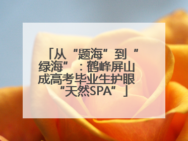 从“题海”到“绿海”：鹤峰屏山成高考毕业生护眼“天然SPA”