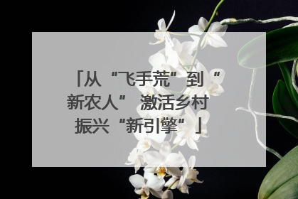 从“飞手荒”到“新农人” 激活乡村振兴“新引擎”