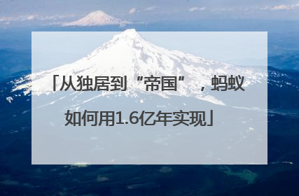 从独居到“帝国”，蚂蚁如何用1.6亿年实现