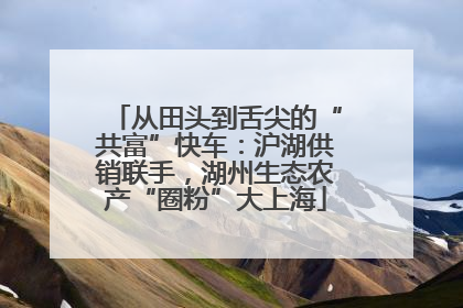 从田头到舌尖的“共富”快车：沪湖供销联手，湖州生态农产“圈粉”大上海