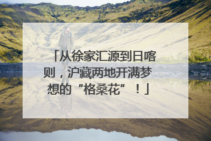 从徐家汇源到日喀则，沪藏两地开满梦想的“格桑花”！