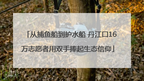 从捕鱼船到护水船 丹江口16万志愿者用双手捧起生态信仰