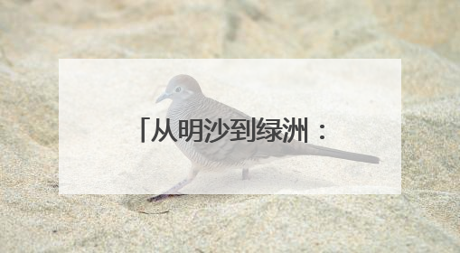 从明沙到绿洲：巴图26年种出700亩生态防线