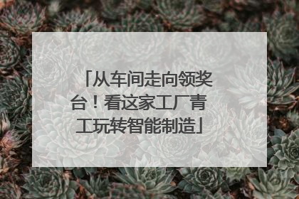 从车间走向领奖台！看这家工厂青工玩转智能制造
