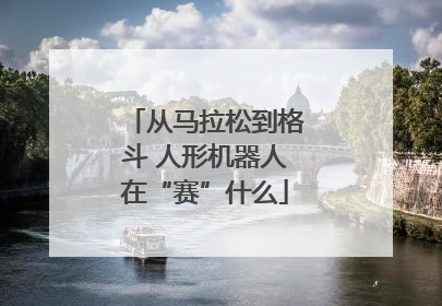 从马拉松到格斗 人形机器人在“赛”什么