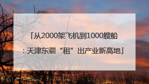 从2000架飞机到1000艘船：天津东疆“租”出产业新高地