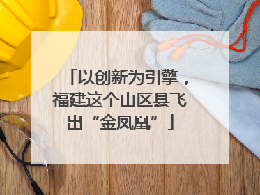 以创新为引擎，福建这个山区县飞出“金凤凰”