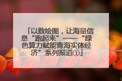 以数绘图，让海量信息“跑起来”——“绿色算力赋能青海实体经济”系列报道①