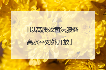 以高质效司法服务高水平对外开放